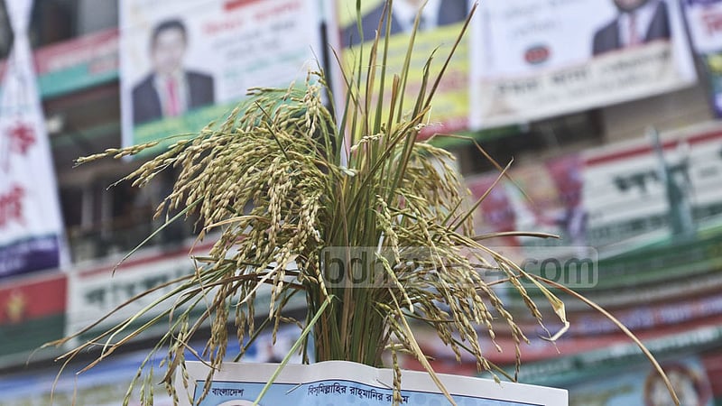 কোন আসনে বিএনপির কে প্রার্থী