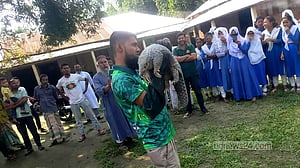 বিপন্ন বনরুই ঘিরে নতুন আশা