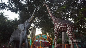 পরিসর ‘দ্বিগুণ’ হচ্ছে চট্টগ্রাম চিড়িয়াখানার, হচ্ছে প্রাণী জাদুঘরও