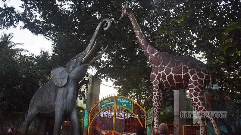 পরিসর ‘দ্বিগুণ’ হচ্ছে চট্টগ্রাম চিড়িয়াখানার, হচ্ছে প্রাণী জাদুঘরও