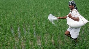 সার কারখানায় গ্যাসের দাম বাড়ল ৮৩%