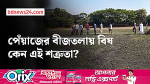 গোপালগঞ্জে বিষ প্রয়োগে পেঁয়াজের বীজতলা নষ্ট, চরম ক্ষতির মুখে চাষি