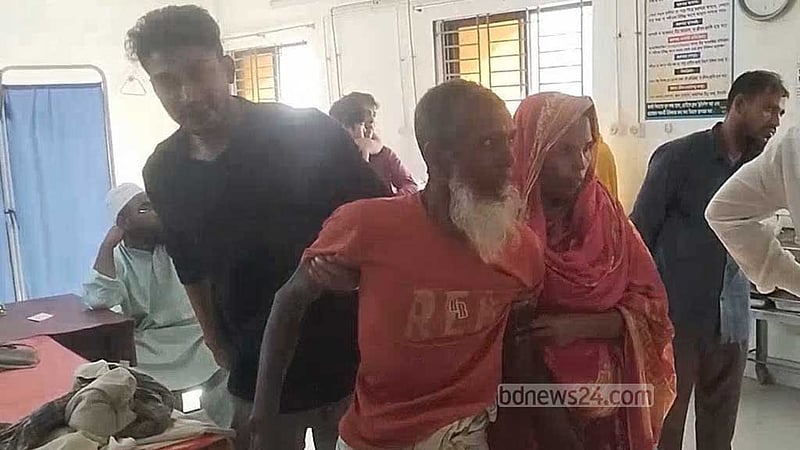 মাদারীপুরে পাগলা কুকুরের কামড়ে শিশুসহ আহত ১২