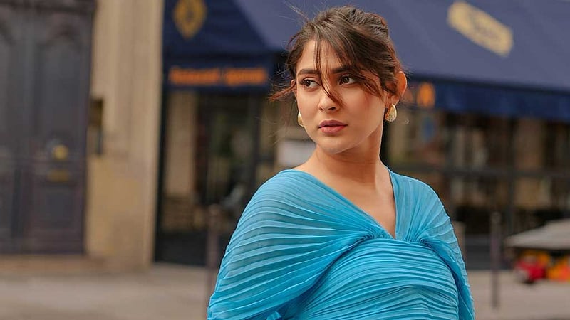 ‘অর্থ আত্মসাৎ এবং হত্যার হুমকি’: অভিনেত্রী মেহজাবীনের বিরুদ্ধে গ্রেপ্তারি পরোয়ানা