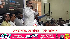 অন্তর্বর্তী সরকারের নিজস্ব কোনো শক্তি নেই: মির্জা আব্বাস