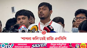 দেশবাসীর মধ্যে শাপলা কলি নিয়ে ইতিবাচক সাড়া পেয়েছি: পাটওয়ারী
