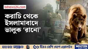 আদালতের নির্দেশে করাচি থেকে ইসলামাবাদে গেল ভালুক ‘রানো’