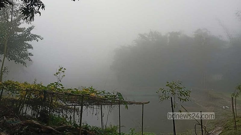 মৌসুমের সর্বনিম্ন তাপমাত্রা পঞ্চগড়ে, ঝরছে কুয়াশা