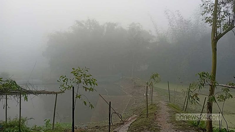 দিল্লি থেকে আসা কুয়াশায় বেড়েছে শীত