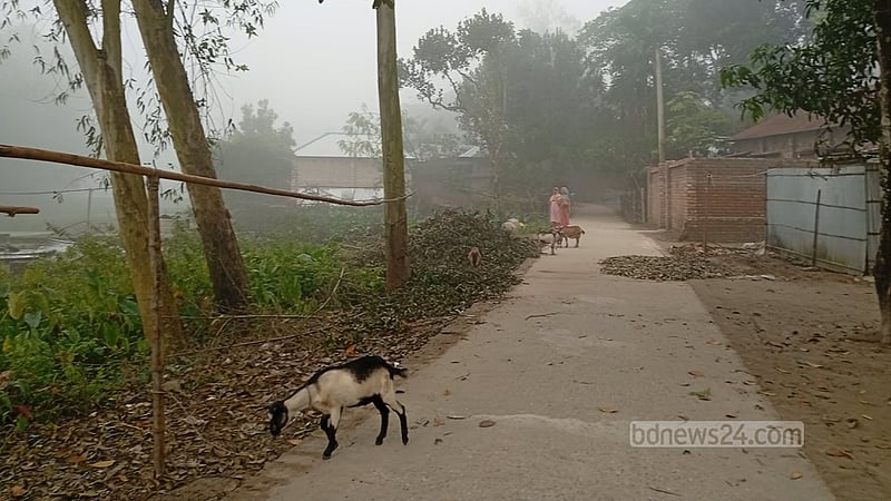 পঞ্চগড়ে জেঁকে বসেছে শীত, পারদ নেমেছে ১৩ ডিগ্রিতে