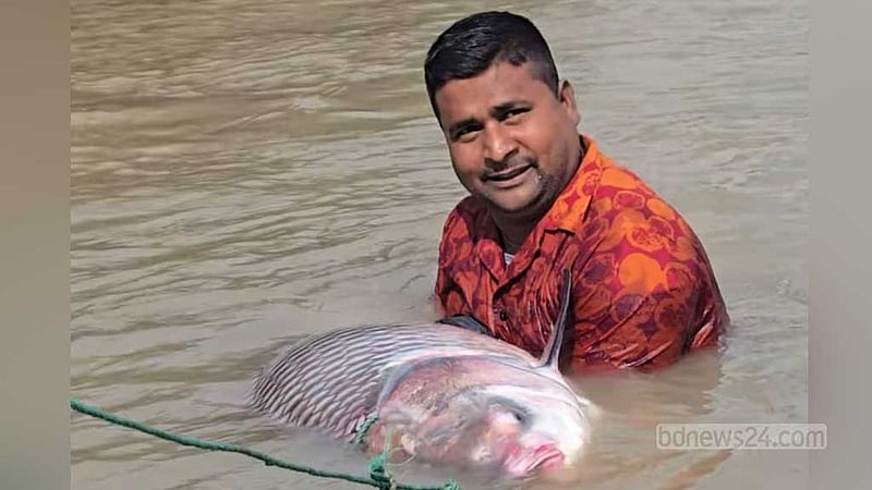 পদ্মার এক কাতল ৬৬ হাজার টাকায় বিক্রি