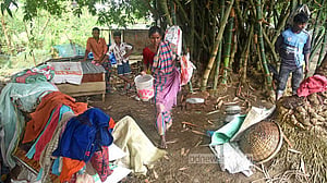 বাঁশঝাড়ে দিন কাটাচ্ছে কোল সম্প্রদায়ের উচ্ছেদ হওয়া ৫ পরিবার