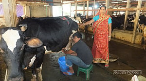 সিরাজগঞ্জে মিল্কভিটায় দুধ সরবরাহ বন্ধের কর্মসূচি স্থগিত