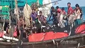 এক টানে উঠল ১৪০ মণ ইলিশ, বিক্রি ৩১ লাখে