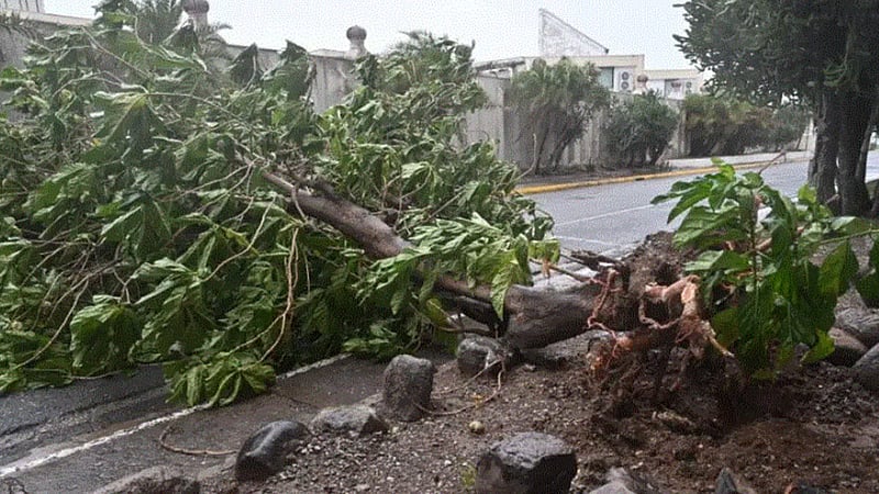 হারিকেন মেলিসার তাণ্ডবে লন্ডভন্ড জ্যামাইকা, এগোচ্ছে কিউবার দিকে