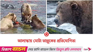 সবচেয়ে মোটা ভাল্লুকের মুকুট পেল চোয়াল ভাঙা ‘৩২ চাঙ্ক’