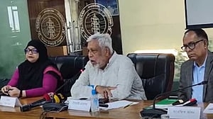 ফেব্রুয়ারির মধ্যে দেড় হাজার মেগাওয়াট সৌর বিদ্যুৎ পাওয়ার আশায় উপদেষ্টা