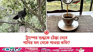 পাখির মলে মিলছে সুস্বাদু কফি, আশার আলো দেখছে ব্রাজিল