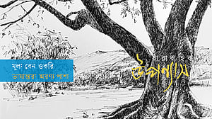 মাঙ্গোশি ও কথা বলা গাছেরা, অষ্টম ও শেষ পর্ব