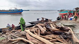 উজানের ঢল: দুধকুমার ও ব্রহ্মপুত্র নদে ভেসে আসছে গাছের গুঁড়ি