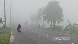 নওগাঁয় ঘন কুয়াশায় শীতের আগমনী বার্তা