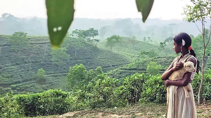 যুক্তরাষ্ট্রের এমা অ্যাওয়ার্ডে পুরস্কার জিতল দেশের ‘নিশি’