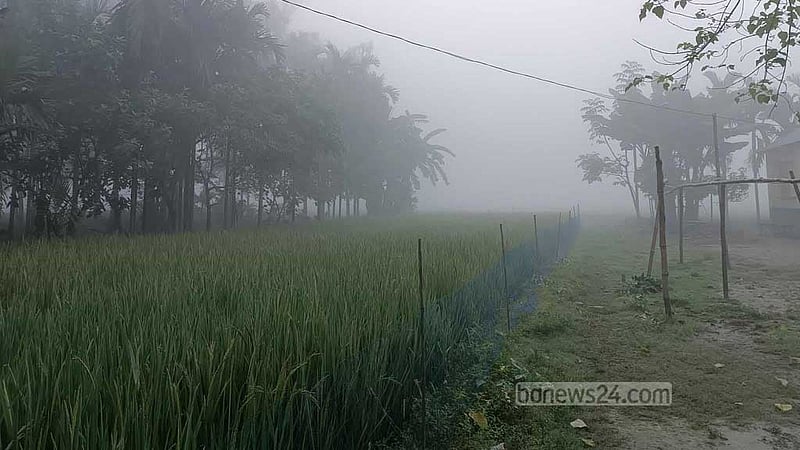 ভোরে ঘন কুয়াশায় ঢাকা পড়ছে পঞ্চগড়ের পথঘাট