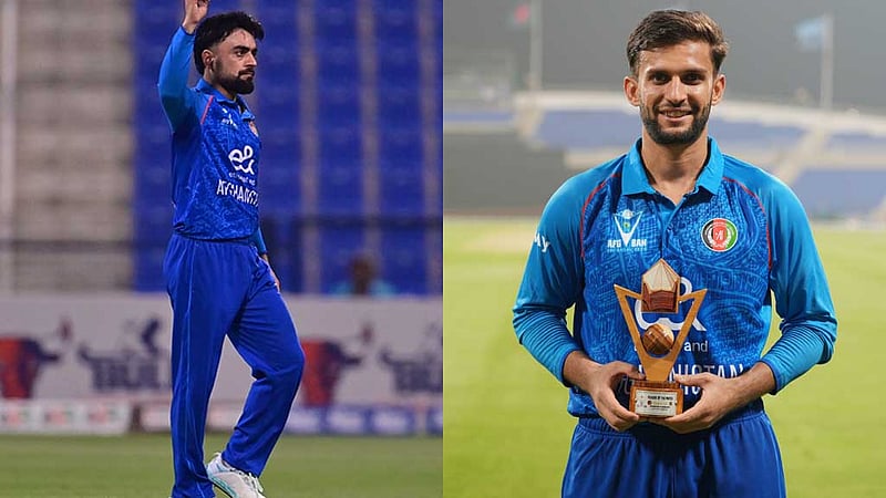 রাশিদের সিংহাসন পুনরুদ্ধার, প্রথমবার চূড়ায় ওমারজাই