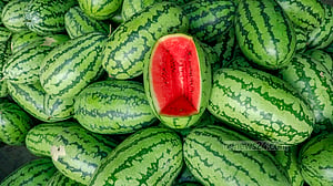 ‘অসময়ে’ তরমুজ