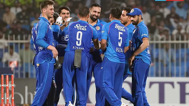 পাকিস্তানকে হারিয়ে ফাইনালের পথে আফগানিস্তান