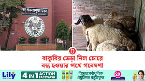 প্রকল্পের ভেড়া চুরির পর ব্যাহত বাকৃবির গবেষণা
