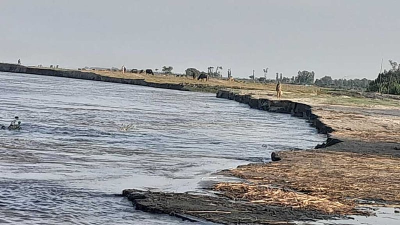 বগুড়ায় ৪৫ কিলোমিটার বন্যা নিয়ন্ত্রণ বাঁধ অরক্ষিত