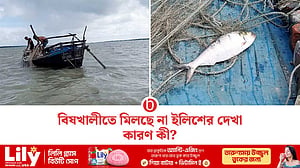 ‘সুস্বাদু ইলিশের ভাণ্ডার’ বিষখালী নদীতে মিলছে না ইলিশ