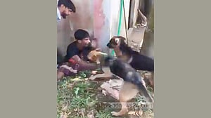 কুমিল্লায় যুবককে কুকুর লেলিয়ে নির্যাতনের অভিযোগ, গ্রেপ্তার ৩