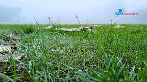 নীলফামারীতে শীতের আগমনী বার্তা