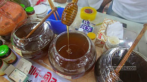 ঢাকায় মধু মেলা