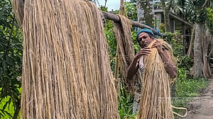 সোনালি আঁশ উঠছে ঘরে