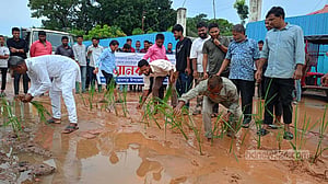 খাগড়াছড়িতে সংস্কারের দাবিতে সড়কে ধানের চারা রোপণ