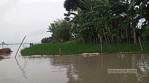 কুড়িগ্রামে নিম্নাঞ্চল প্লাবিত, ‘১২২৭ হেক্টর’ জমির ফসল পানির নিচে