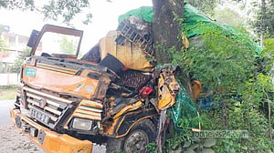 মাগুরায় গাছে ট্রাকের ধাক্কা, চালকের সহকারী নিহত