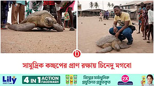 সামুদ্রিক কচ্ছপের প্রাণ বাঁচাচ্ছেন নাইজেরিয়ান তরুণ