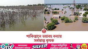 পাকিস্তানে বন্যায় ক্ষতিগ্রস্ত ১৮ লাখ একর ফসলি জমি