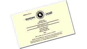সংসদ নির্বাচন: ১১৫ প্রতীকের গেজেট প্রকাশ, শাপলা নেই