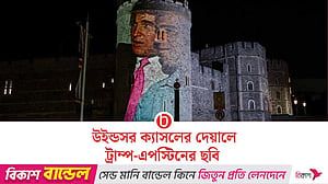 যুক্তরাজ্যের উইন্ডসর ক্যাসলের দেয়ালে ট্রাম্প-এপস্টিনের ছবি প্রদর্শন