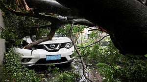 টাইফুন রাগাসা: চীনের দক্ষিণাঞ্চলীয় উপকূল থেকে সরানো হয়েছে প্রায় ১৯ লাখ মানুষকে
