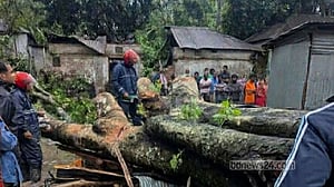 কালবৈশাখী ঝড়: বগুড়ায় দোকানের ওপর গাছ পড়ে ব্যবসায়ীর মৃত্যু
