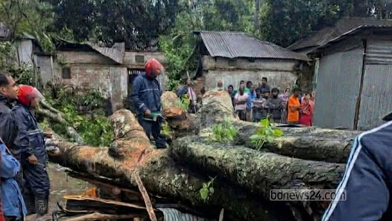 কালবৈশাখী ঝড়: বগুড়ায় দোকানের ওপর গাছ পড়ে ব্যবসায়ীর মৃত্যু