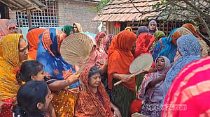 চুয়াডাঙ্গায় মৌমাছির কামড়ে ভ্যান চালকের মৃত্যু