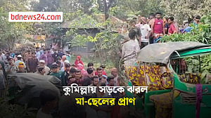 কুমিল্লার দেবিদ্বারে সড়ক দুর্ঘটনায় মা-ছেলে নিহত