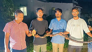 চবিতে ‘কিং কোবরা’ সাপ উদ্ধার